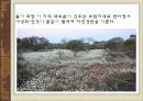 세계관광지리 호주 지역별 조사 ppt발표자료 74페이지 A+보장  42페이지