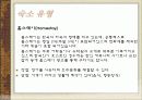 세계관광지리 호주 지역별 조사 ppt발표자료 74페이지 A+보장  71페이지