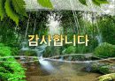 Bentek Furniture - 벤텍 (Bentek) 유통 경로, 경영 마케팅 분석 35페이지
