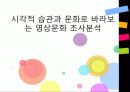 시각적 습관과 문화로 바라보는 영상문화 조사분석 1페이지