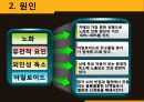 알츠하이머병 (Alzheimer's disease) 케이스 스터디(case study) 12페이지