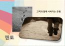 경영학 이해 수업 관련 마케팅 중심 은행 경영 발표 51페이지