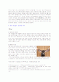 동물들의 청각인지 특성 4페이지