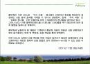 풀무원 CSR 사례 연구  13페이지