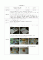 만3세)  우크라이나 민화 ‘장갑(낱장동화)’ & 개작원고 2페이지