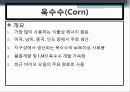 배합사료 원료의 특성 및 사료적가치 3페이지
