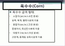 배합사료 원료의 특성 및 사료적가치 5페이지