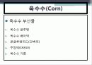 배합사료 원료의 특성 및 사료적가치 6페이지