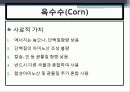 배합사료 원료의 특성 및 사료적가치 7페이지