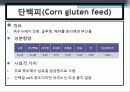 배합사료 원료의 특성 및 사료적가치 10페이지