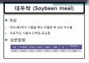 배합사료 원료의 특성 및 사료적가치 15페이지
