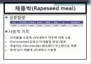 배합사료 원료의 특성 및 사료적가치 18페이지