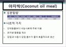 배합사료 원료의 특성 및 사료적가치 20페이지