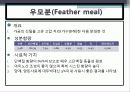 배합사료 원료의 특성 및 사료적가치 22페이지