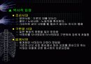 임신중절과 생명윤리 34페이지