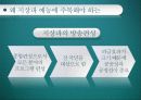 지상파 텔레비전의 편성전략 4페이지