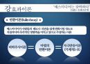 매스미디어 효과이론 6페이지