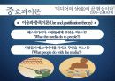 매스미디어 효과이론 10페이지