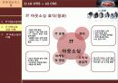 IT아웃소싱의 개념과 특징,사례,현황,문제점,나아갈방향,해결점 조사분석 19페이지