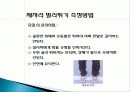 기초체력 - 체력의 정의와 건강 체력과 운동체력요소 14페이지