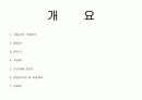 자동차 샤시 공학 과목 - 동력전달 장치 레포트 2페이지