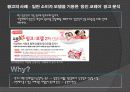 광고와 선전의 사례조사(A+받음) 18페이지