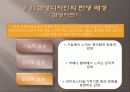 색채와 감성디자인 13페이지