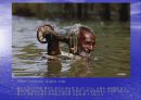 사진 작가 스티브 맥커리(Steve McCurry) 소개 및 감상문 6페이지