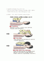 심폐소생술이란 3페이지