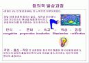 미래생활과창의성개발 ppt 발표 자료 28페이지