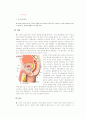 ocu 성의 생물학 report 남성과 여성의 성호로몬 5페이지