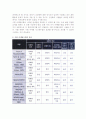 [관광시험시장] 관광시험시장 실시이유와 여부 및 접근방법, 관광시험시장 마케팅모형 10페이지