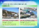 지구를 지켜라! - 녹색생활실천운동 41페이지