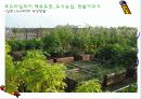 지구를 지켜라! - 녹색생활실천운동 55페이지