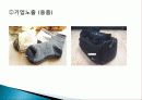 골프단 창단 제안서 34페이지