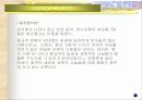 진화론과 창조론 - 진화론과 창조론에 대한 견해 5페이지