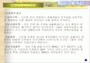 진화론과 창조론 - 진화론과 창조론에 대한 견해 6페이지