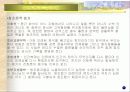 진화론과 창조론 - 진화론과 창조론에 대한 견해 7페이지