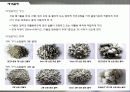 건설폐기물 종류 및 처리현황 19페이지