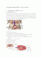 신부전(Renal failure)의 치료와 간호중재 2페이지