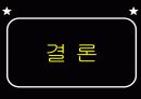 도쿄(토쿄)디즈니랜드의 성공사례와 유로디즈니랜드의 실패사례 14페이지
