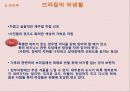 남미 - 브라질 & 아르헨티나 5페이지