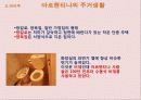 남미 - 브라질 & 아르헨티나 13페이지