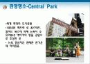 미국문화 24페이지