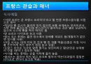  유럽 - 프랑스 , 이탈리아 16페이지