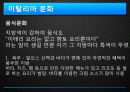  유럽 - 프랑스 , 이탈리아 23페이지