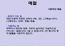 일본 - 문화와 매너 (Japan - Culture & Maner) 29페이지