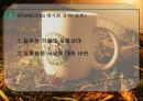 스타벅스(STARBUCKS)의 현지화 전략 22페이지