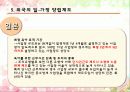 저출산 대책, 일 가정양립제도 26페이지