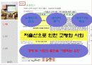 저출산 문제, 현황, 대안, 정부정책 3페이지